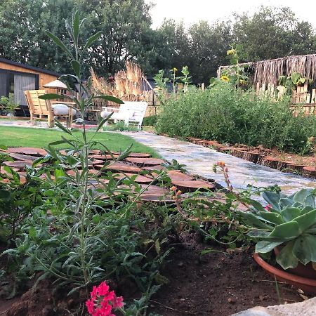 Vila Tiny House Kayakoey Nar Fethiye Exteriér fotografie