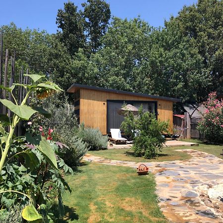 Vila Tiny House Kayakoey Nar Fethiye Exteriér fotografie